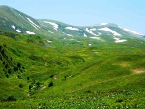 posofta-baharin-coskusu-yayla-mevsimi-kapilari-araladi-Hib6FIJt.jpg