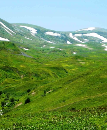 posofta-baharin-coskusu-yayla-mevsimi-kapilari-araladi-Hib6FIJt.jpg