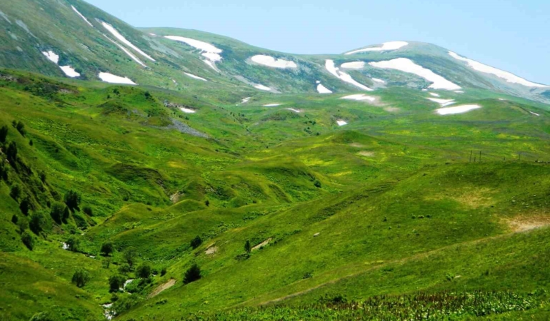posofta-baharin-coskusu-yayla-mevsimi-kapilari-araladi-Hib6FIJt.jpg