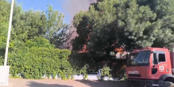 Siirt'te Alevlerin Sardığı İşletme Yok Oldu Siirt’te Alevlerin Sardığı İşletme Yok Oldu