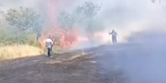 Siirt'te Çay İçin Yakılan Ateş, Fıstık Ağaçlarını Kül Etti Siirt’te Çay İçin Yakılan Ateş, Fıstık Ağaçlarını Kül Etti