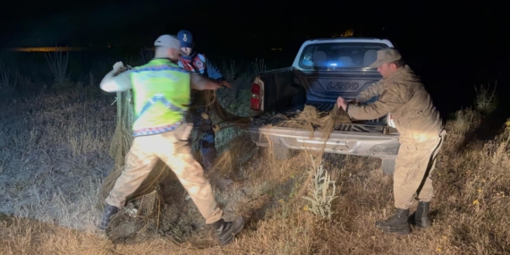 Van'da 1,5 Ton İnci Kefali ile Suçüstü Yapıldı Van’da 1,5 Ton İnci Kefali ile Suçüstü Yapıldı