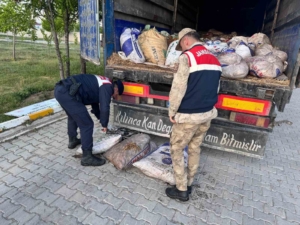 vanda-19-ton-200-kilo-essiz-inci-kefali-baligi-yakalandi-YHkHO11a.jpg