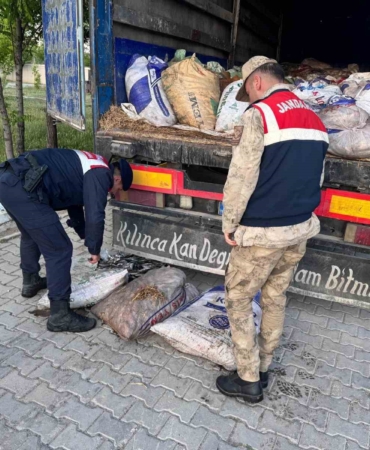 vanda-19-ton-200-kilo-essiz-inci-kefali-baligi-yakalandi-YHkHO11a.jpg