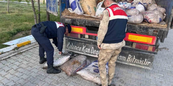 Van'da 19 Ton 200 Kilo Eşsiz İnci Kefali Balığı Yakalandı Van’da 19 Ton 200 Kilo Eşsiz İnci Kefali Balığı Yakalandı