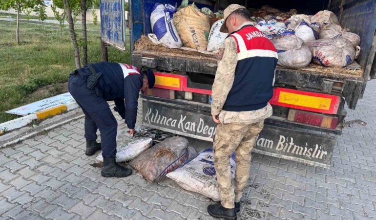 vanda-19-ton-200-kilo-essiz-inci-kefali-baligi-yakalandi-YHkHO11a.jpg