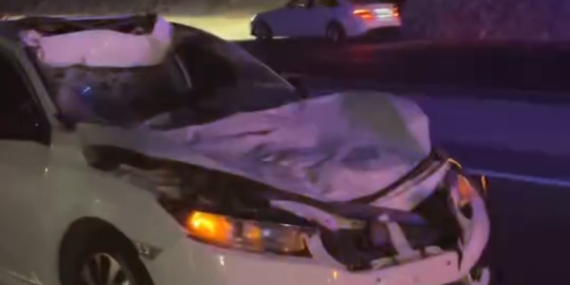 Yolda İneğe Çarpan Otomobil: 3 Kişi Yaralandı