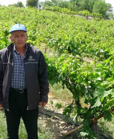 zirai-donun-etkiledigi-tescilli-kohnu-uzumde-umutlar-yapraklarda-yeseriyor-vCQCJIpk.jpg