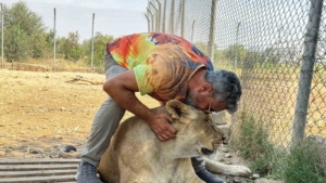 12-yildir-aslanlara-besleme-ile-vahsi-hayvanlara-olan-sevgisini-surduren-kisinin-hikayesi-wz1Q4Rbb.jpg