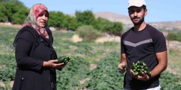 14-yildir-tarladan-sofraya-uygun-fiyatla-organik-salatalik-deneyimi-IxlFDGnE.jpg