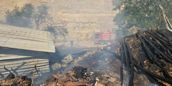Akçadağ'da Odunluk Yangını: Korkutan Anlar ve Sonrası Akçadağ’da Odunluk Yangını: Korkutan Anlar ve Sonrası