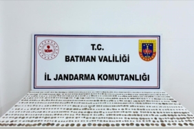 batmanda-jandarma-ekiplerinin-musteri-kiligina-girerek-ele-gecirdigi-1245-sikke-aWUPLTiN.jpg