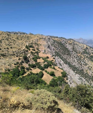 batmanda-zihinsel-durumu-iyi-olmayan-kayip-kadinin-arama-faaliyetleri-devam-ediyor-zrlaKsS8.jpg