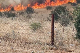Batman'daki Orman Yangını Başarıyla Kontrol Altına Alındı! batmandaki-orman-yangini-basariyla-kontrol-altina-alindi-HLwuwBZ8.jpg