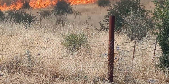 Batman'daki Orman Yangını Başarıyla Kontrol Altına Alındı! Batman’daki Orman Yangını Başarıyla Kontrol Altına Alındı!