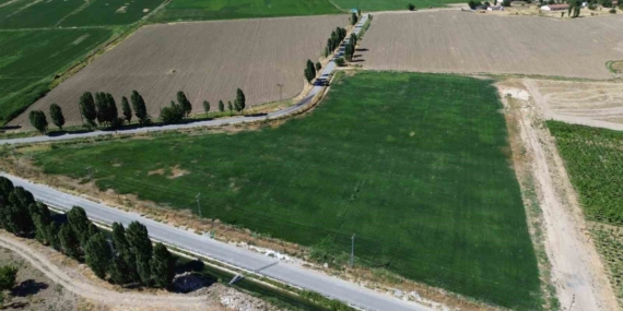 Battalgazi'de Yerli Üretimle Doğa Dostu Alanlar İçin Seferberlik Battalgazi’de Yerli Üretimle Doğa Dostu Alanlar İçin Seferberlik