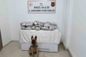 bingolde-49-kilo-esrar-yakalandi-uyusturucu-operasyonu-basariyla-tamamlandi-4AdY5LdN.jpg