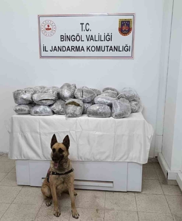 bingolde-49-kilo-esrar-yakalandi-uyusturucu-operasyonu-basariyla-tamamlandi-4AdY5LdN.jpg