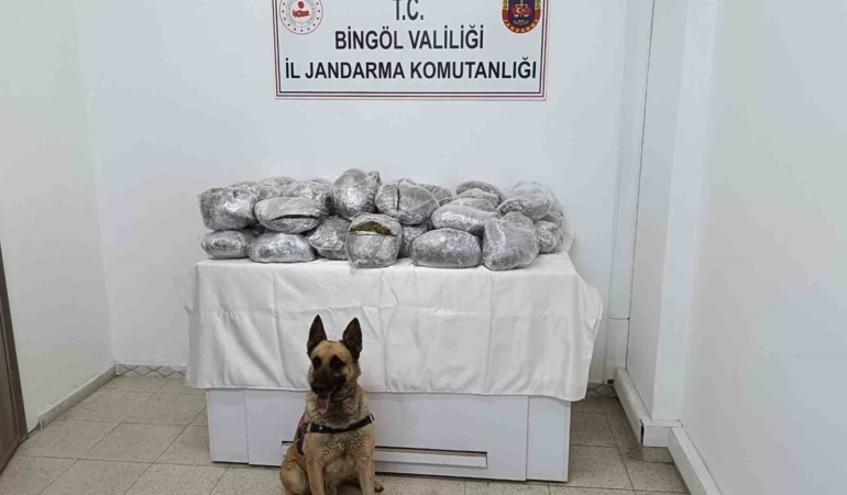 bingolde-49-kilo-esrar-yakalandi-uyusturucu-operasyonu-basariyla-tamamlandi-4AdY5LdN.jpg