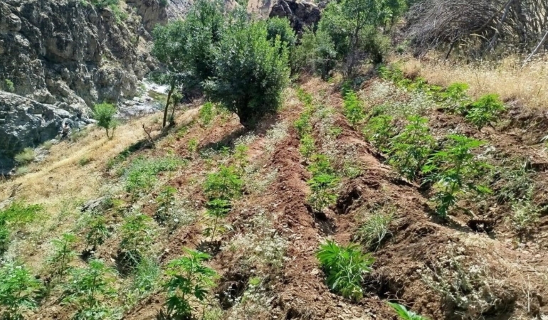 bingolde-uyusturucu-ile-mucadele-yeni-operasyonun-detaylari-cjyZKZwv.jpg
