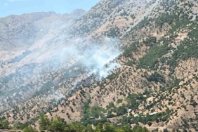 bingoldeki-orman-ve-arazi-yanginlari-kontrol-altina-alindi-dsOrhW9l.jpg