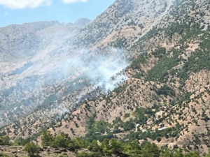 bingoldeki-orman-ve-arazi-yanginlari-kontrol-altina-alindi-dsOrhW9l.jpg