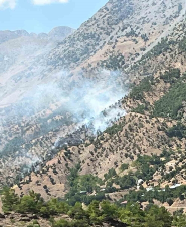bingoldeki-orman-ve-arazi-yanginlari-kontrol-altina-alindi-dsOrhW9l.jpg