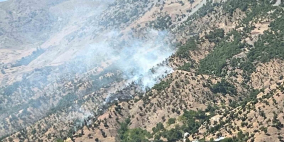 Bingöl’deki Orman ve Arazi Yangınları Kontrol Altına Alındı