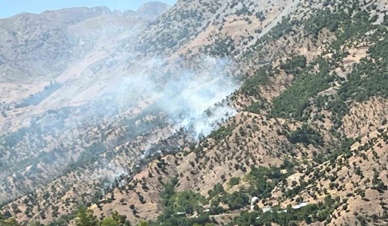 bingoldeki-orman-ve-arazi-yanginlari-kontrol-altina-alindi-dsOrhW9l.jpg