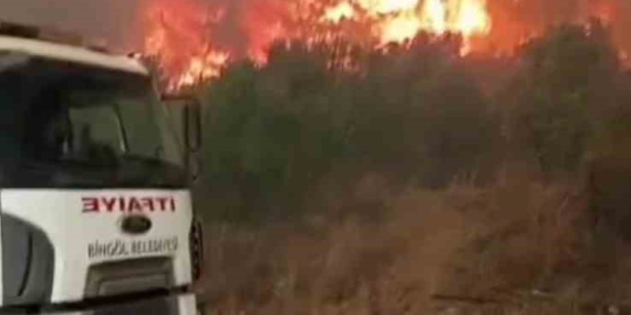 Bingöl'den Hatay'a Destek: Dayanışma ve Yardım Seferberliği Bingöl’den Hatay’a Destek: Dayanışma ve Yardım Seferberliği