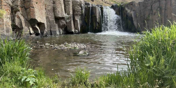 Diyadin’in Büyüleyici Yıldızlı Şelalesi: Doğaseverlerin Gözdesi Diyadin’in Büyüleyici Yıldızlı Şelalesi: Doğaseverlerin Gözdesi