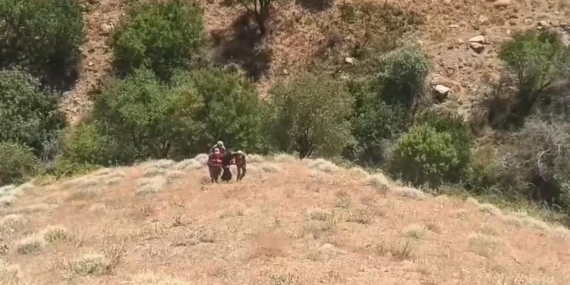 Diyarbakır'da 20 Yıldır Aranan Şahıs, 71 Yıl Kesinleşmiş Hapis Cezasıyla Yakalandı Diyarbakır’da 20 Yıldır Aranan Şahıs, 71 Yıl Kesinleşmiş Hapis Cezasıyla Yakalandı