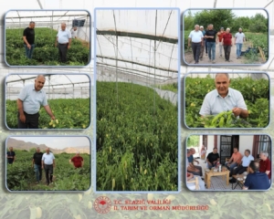 elazigda-bahce-ve-sera-alanlarina-yapilan-detayli-inceleme-GAl62YEG.jpg