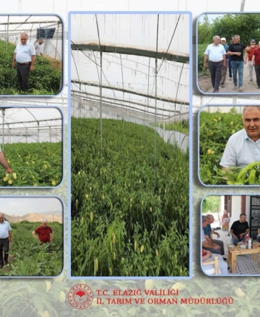 elazigda-bahce-ve-sera-alanlarina-yapilan-detayli-inceleme-GAl62YEG.jpg
