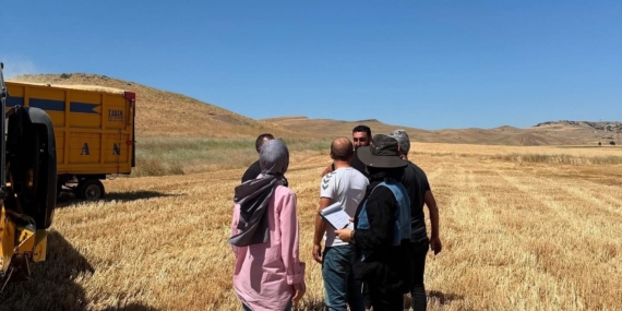 Elazığ'da Biçerdöver Denetimleri ve Hasat Süreci Devam Ediyor Elazığ’da Biçerdöver Denetimleri ve Hasat Süreci Devam Ediyor