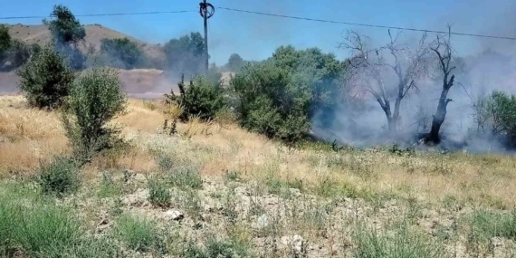 Elazığ'da Dehşet Verici Yangın: Yüzlerce Dönüm Alanı Alevlere Teslim Oldu Elazığ’da Dehşet Verici Yangın: Yüzlerce Dönüm Alanı Alevlere Teslim Oldu