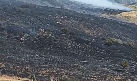 Elazığ'da Doğanın Alevlere Teslim Olduğu Arazi Yangını Elazığ’da Doğanın Alevlere Teslim Olduğu Arazi Yangını