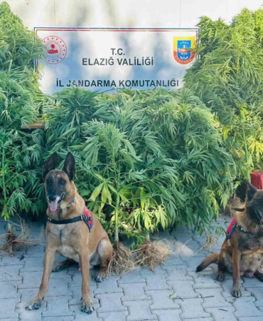elazigda-jandarma-uyusturucu-saticilarina-gecit-vermiyor-QvuNn9Jb.jpg