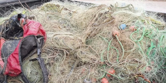 Elazığ'da Su Ürünleri Av Yasağı Kalktı: 136 Kişiye 1 Milyon Lira Ceza Uygulandı Elazığ’da Su Ürünleri Av Yasağı Kalktı: 136 Kişiye 1 Milyon Lira Ceza Uygulandı