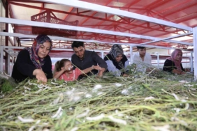 elazigda-tarihin-en-buyuk-ipek-bocekciligi-ciftligi-yeni-ureticilere-ilham-kaynagi-SSgJp18Q.jpg