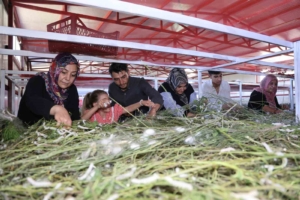 elazigda-tarihin-en-buyuk-ipek-bocekciligi-ciftligi-yeni-ureticilere-ilham-kaynagi-SSgJp18Q.jpg