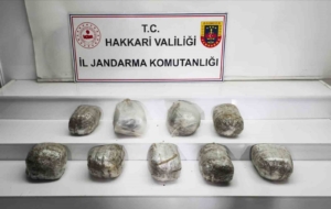 hakkaride-14-kilo-skunk-maddesi-yakalandi-uyusturucu-operasyonu-basariyla-tamamlandi-ZlBINv2H.jpg