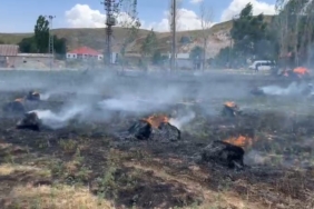 hakkaride-yaklasik-1500-bag-kullere-karisti-A3pUPnpV.jpg