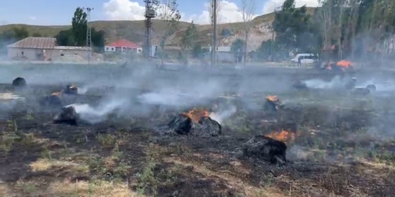 Hakkari'de Yaklaşık 1500 Bağ, Küllere Karıştı Hakkari’de Yaklaşık 1500 Bağ, Küllere Karıştı