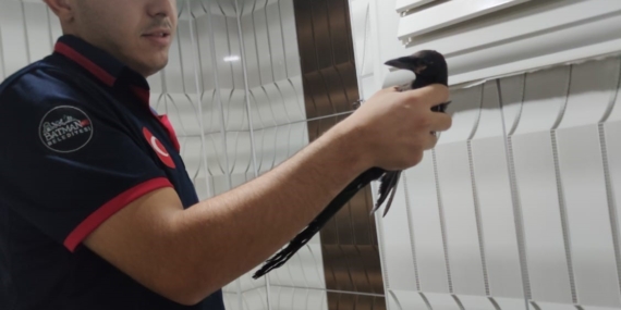 Havalandırma Boşluğunda Mahsur Kalan Karga Başarıyla Kurtarıldı