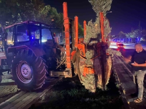hazardagli-kavsagindaki-agaclarin-koruma-altina-alinma-sureci-qRB1nuCW.jpg