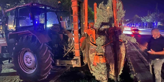 Hazardağlı Kavşağı'ndaki Ağaçların Koruma Altına Alınma Süreci Hazardağlı Kavşağı’ndaki Ağaçların Koruma Altına Alınma Süreci