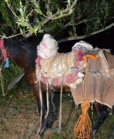 irandan-kacak-yolla-getirilen-97-kilogram-uyusturucuya-tek-gozalti-wyeRWzgM.jpg