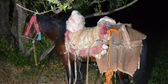 İran'dan Kaçak Yolla Getirilen 97 Kilogram Uyuşturucuya Tek Gözaltı! İran’dan Kaçak Yolla Getirilen 97 Kilogram Uyuşturucuya Tek Gözaltı!