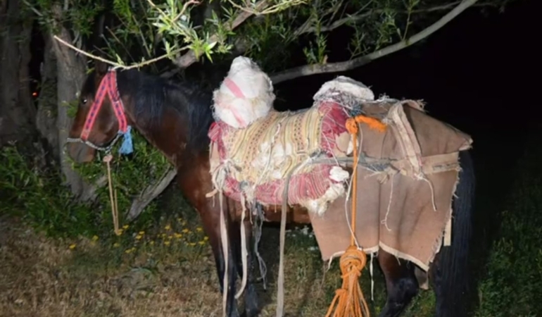 irandan-kacak-yolla-getirilen-97-kilogram-uyusturucuya-tek-gozalti-wyeRWzgM.jpg